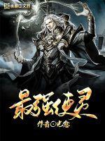 最强驭灵师在线观看