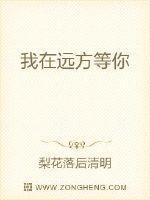 我在远方等着你小帅原唱
