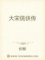 大宋提侠是什么官