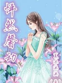怦然馨动宝箱