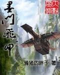 墨门飞甲TxT精校版