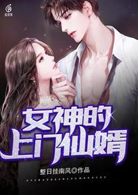 女神的上门女婿免费阅读完整版