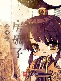 红楼之长房嫡孙