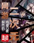 网游二次元TXT