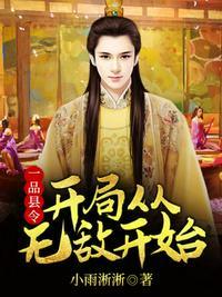 一品县令开局从无敌开始免费