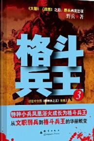 格斗兵王3正版