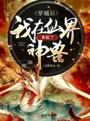 穿越后我成仙了