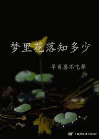梦里花落知多少顾小北