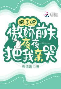 傲娇前夫请止步完整版
