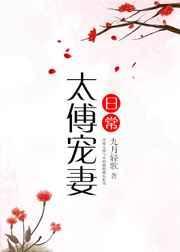 太傅宠妻日常笔趣阁