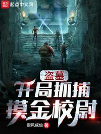 开局盗墓