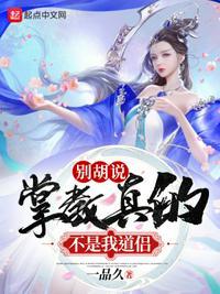 掌教什么境界