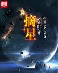 摘星辰的前一句是什么