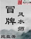 冒牌风水师关戎血儿