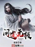 问道无极是个什么组织
