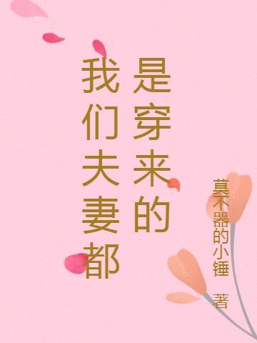 我们夫妻都是穿来的 莫不器的小锤