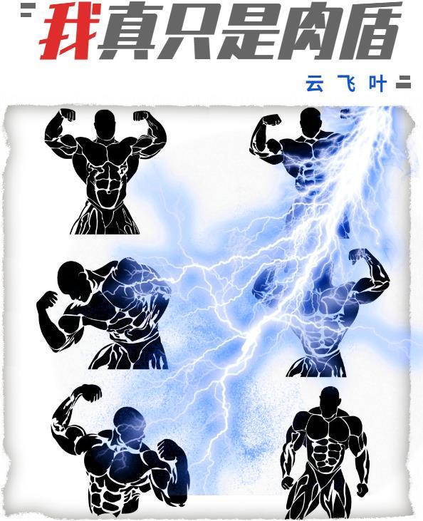 我真只是肉盾 云飞叶