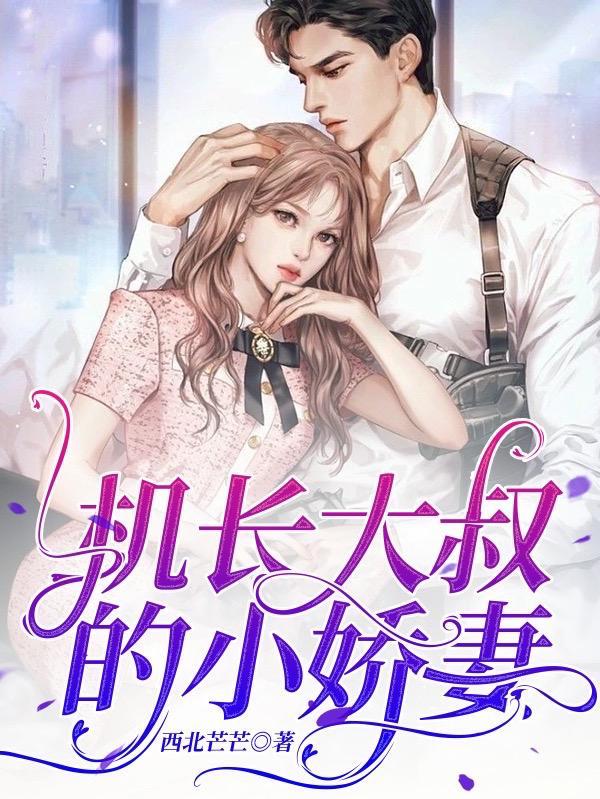 机长大叔轻点宠