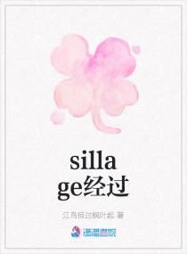 le sillage怎么读