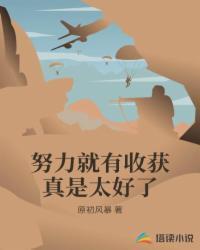 努力就会有收获感悟