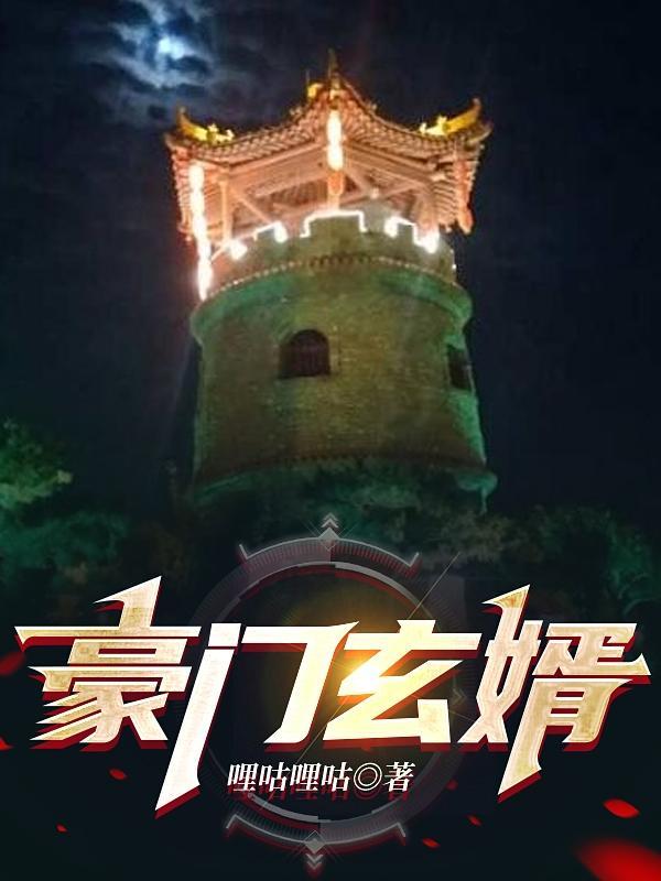 豪门赘婿全文目录