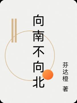 向南不向北朝东不往西
