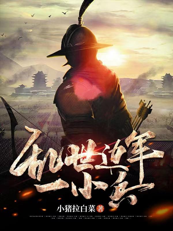 乱世边军一小兵好看吗
