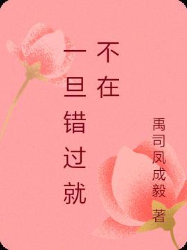 一旦错过就不在了