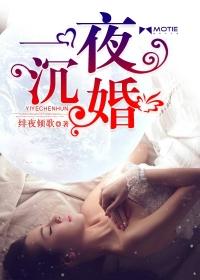 一夜沉婚免费阅读全文