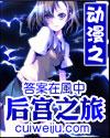 动漫之后宫之旅林云