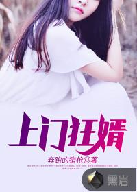 上门狂婿叶锋