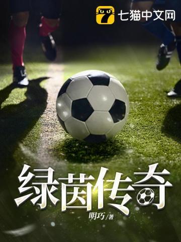 绿茵传奇中场荣耀 西北又高楼