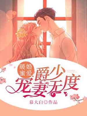 暖婚蜜爱爵少宠妻无度 慕大白所著现代言情