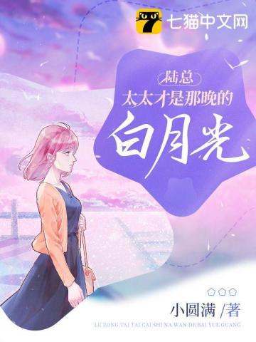 陆太太她最野了免费阅读