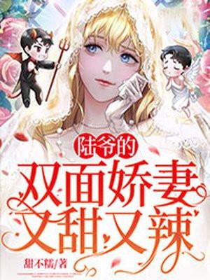陆爷的双面娇妻又甜又辣免费阅读