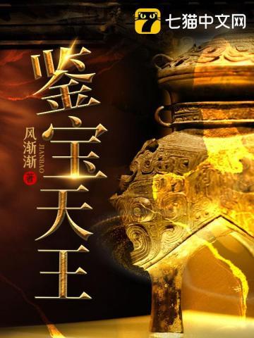鉴宝天王txt