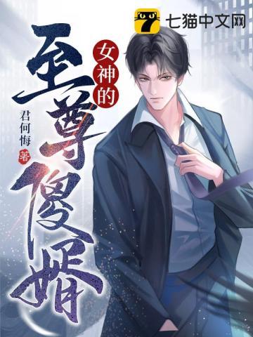 女神的至尊兵王凌风