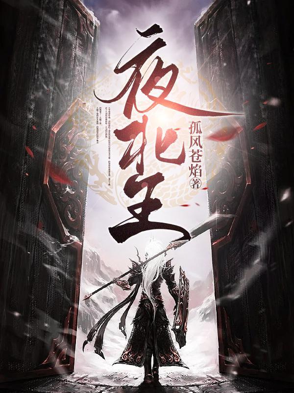 夜北王短剧18集