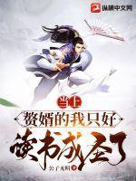 z赘婿当道