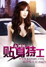 女神的贴身特工江凡免费阅读