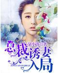 总裁诱妻入怀