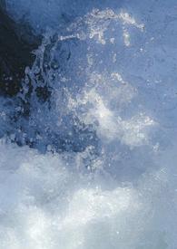 赎风 (高干 1V1)作者陈清醉