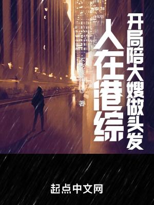 人在港综开局陪大嫂做头发飞卢