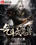 异界之斗气系统