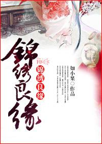 锦绣良缘梦诗最后怎么样了