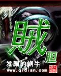 贼胆女主