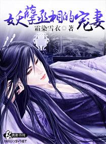妖孽丞相独宠妻