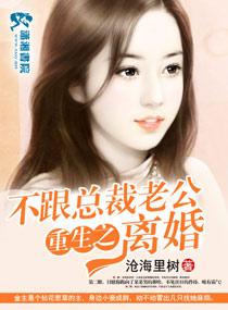 第一章重生绝不与boss老公离婚