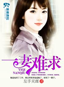 一妻难求 作者素衣渡江