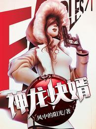 神龙快婿全文